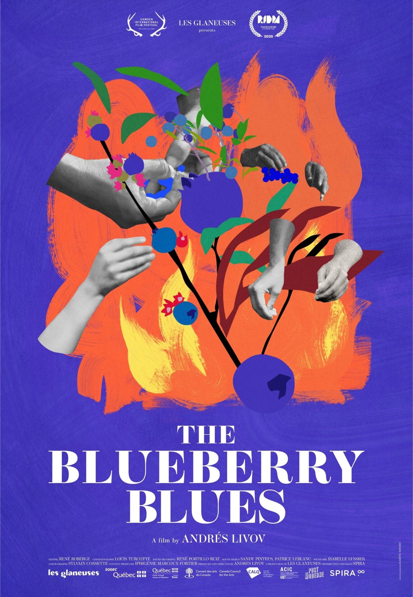 BLUES-DU-BLEUET_affiche_EN_LAURIERS