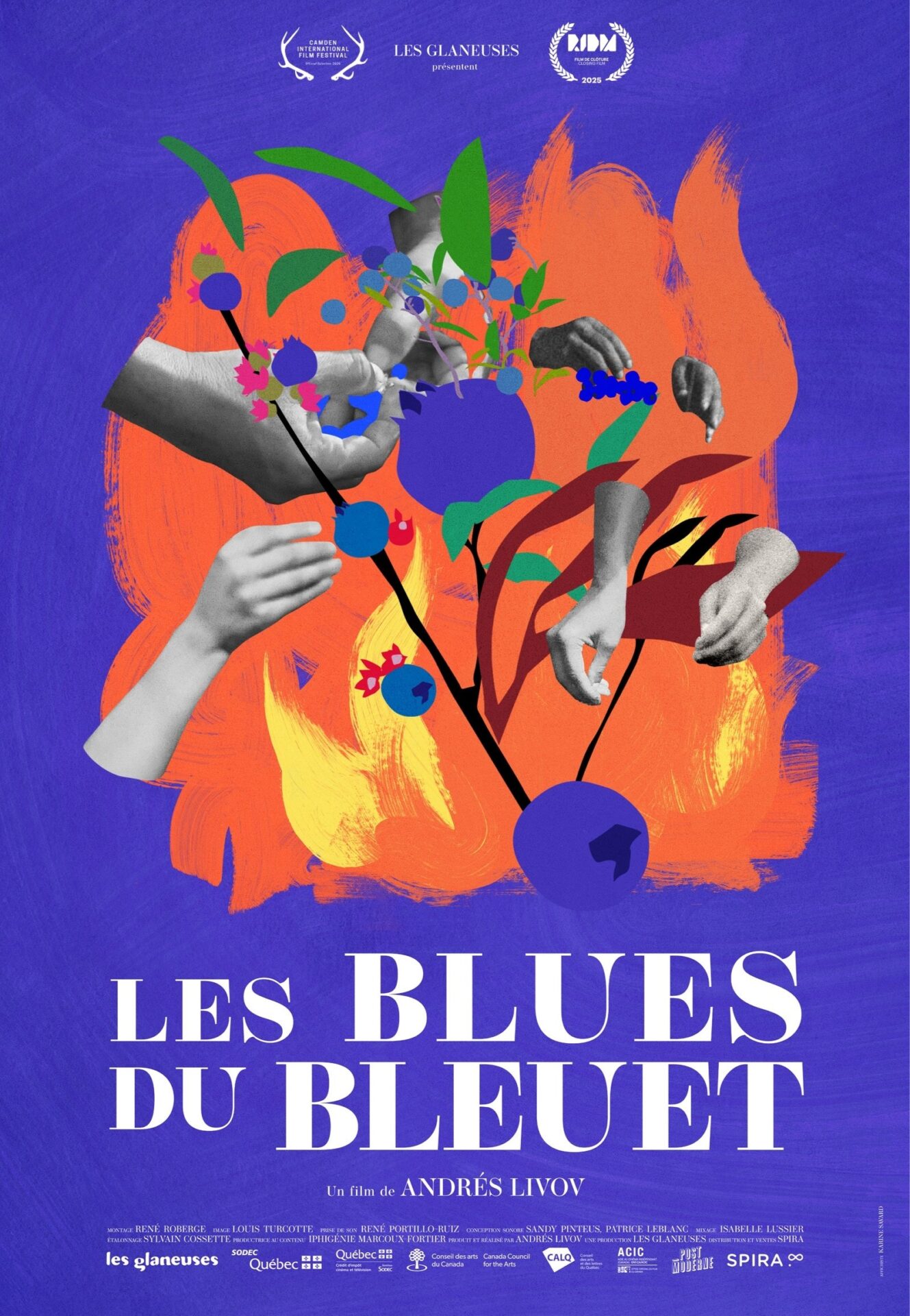 BLUES-DU-BLEUET_affiche_FR