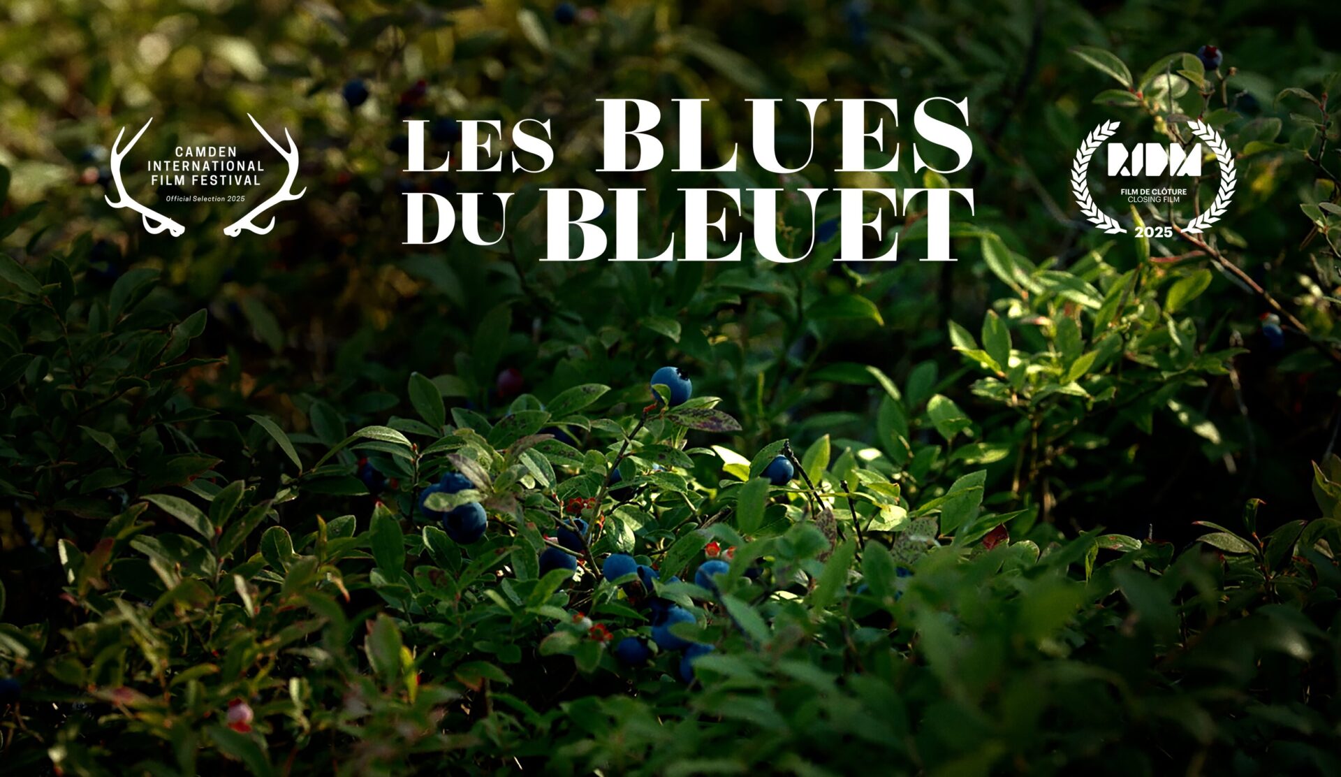 page bleuet_